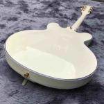 Double F-Holes Hollow Body Jazz Electric Guitar Ebony Fretboard Tremolo System