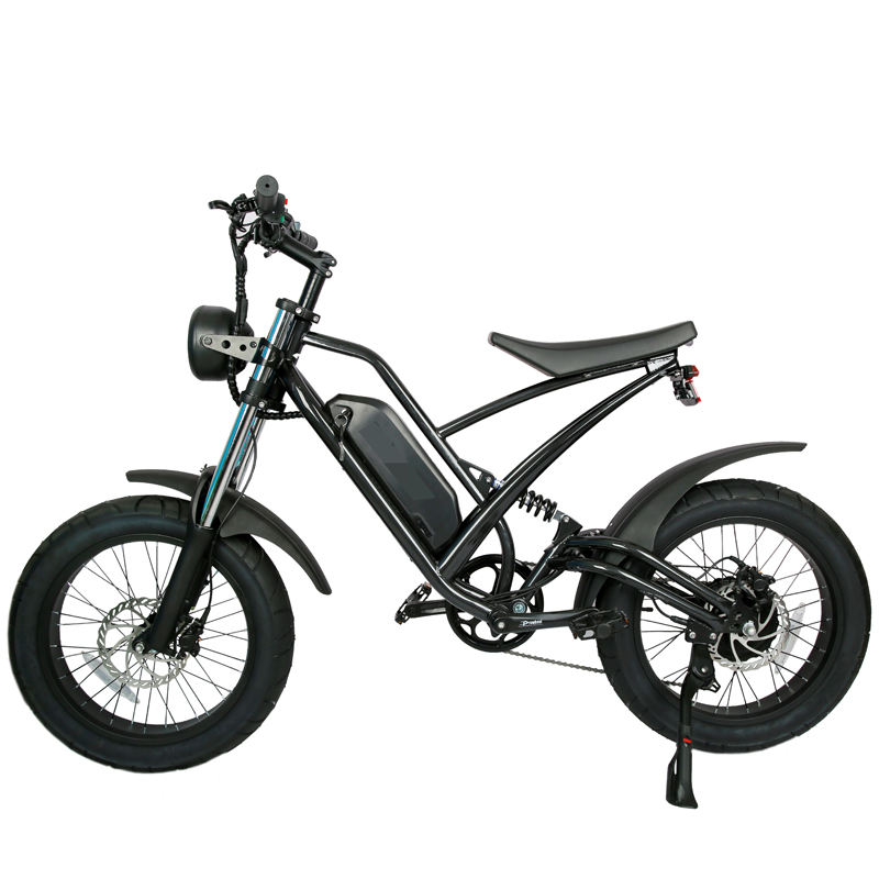 DOMANCA 750W High Speed Dirt Bike Off-road Fat Tire Ebike Customized E Bike Motorcycle