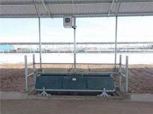 Quality 1.8m Large Plastic Water Trough Sheep Animal Husbandry Equipment wholesale