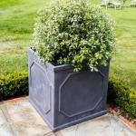 Sustainable Fiber Clay Planter for a Greener and Healthier Environment