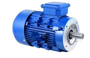 Quality 24v 48v Slip Ring 3 Phase Ac Induction Motor For Conveyor wholesale