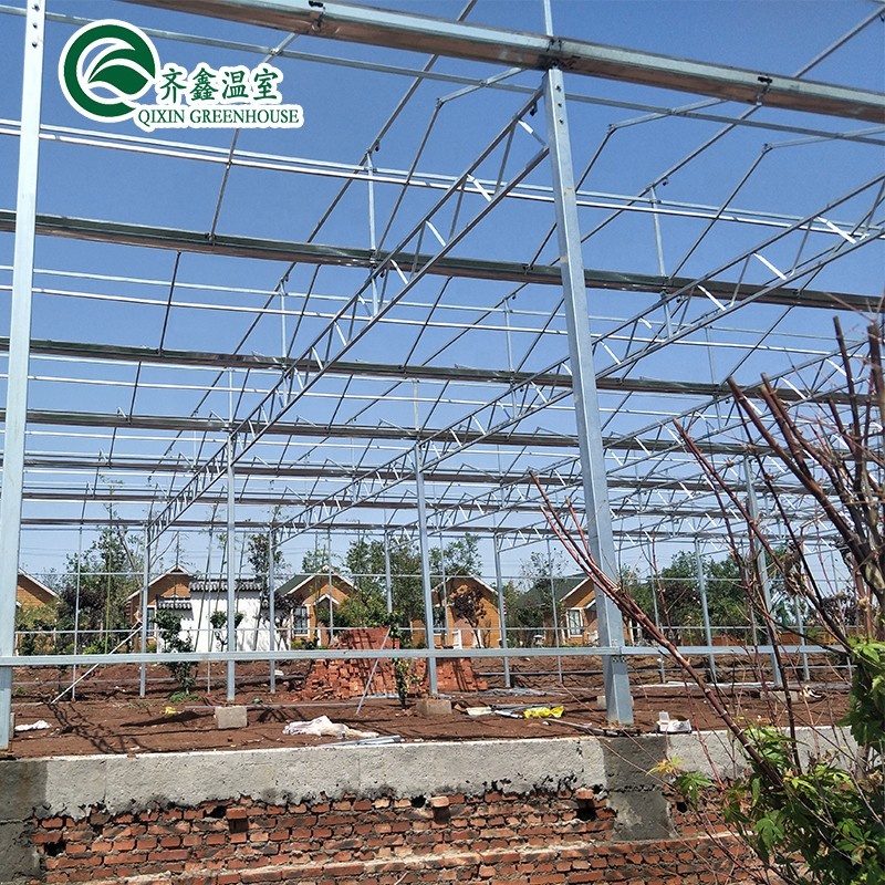 Vegetable Fruits Flowers Tomatoes Greenhouse with Inside and Outside Shading System