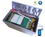 100Ah 200A Deep Cycle 12V LiFePO4 Battery Pack With ABS Case