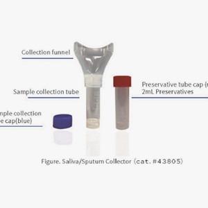 Quality Saliva Sample Collection Kits For Collecting Saliva Samples 10mL Collection Tube wholesale