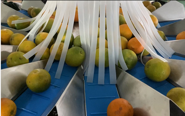 SUS304 Fruit Multihead Weigher Custom Feeding Belt For Avoiding Damaged