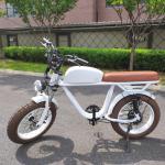 Standard Style Electric Dirt Bike High Torque of 70-80 Nm for City Cruising and