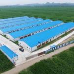 Economical Light Steel House Construction Customized Steel Structure Shed