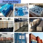 Y Type Large Diameter Valve Ductile Iron Soft Sealing Flange Gate Valve Z41X-16Q