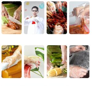 Quality Disposable Clear Polyethylene Disposable Gloves / Hand Gloves For Food Industry wholesale