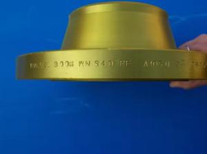 Quality Customizable P250GH Forged Flange for High Pressure Applications wholesale