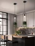 Nordic Iron Pendant Light Home Deco Living Room Dining Room Industrial plant