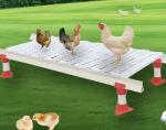 Steel Poultry Slat Flooring , Plastic Slatted Floor For Chicken
