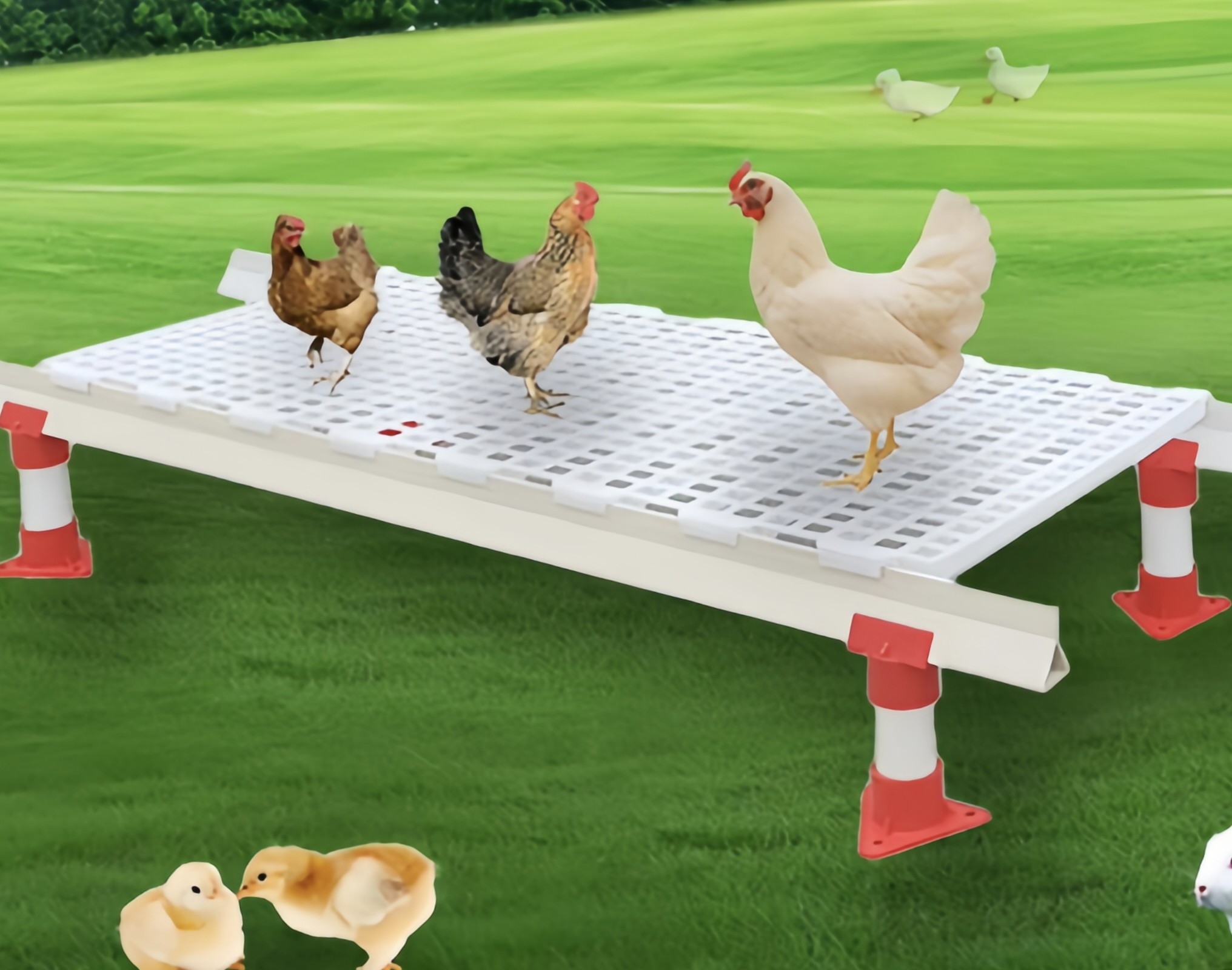 Corrosion Resistant Plastic Poultry Slats Easy Pull Chicken House Floor Slats