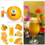 120W Orange Juicer Snack Food Making Machine