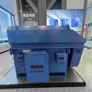 Quality 100KW 6KV Induction High Power Electric Motor With GOST Certified wholesale