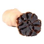 CE Certified Black Garlic Fermenter Machine 80L Energy Saving