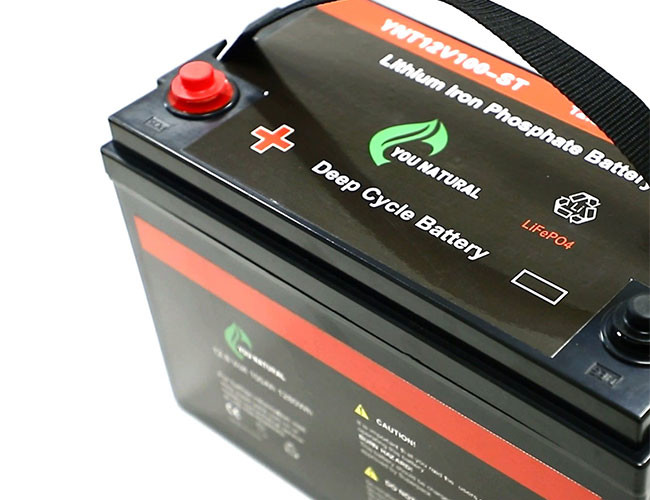 BMS 100ah 12v Lifepo4 Battery 1280wh 12.8v Rechargeable Lithium Ion Battery