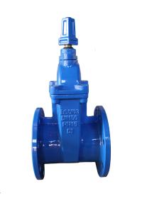 Quality 616-f BS resilent gate valve wholesale