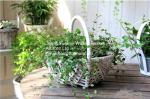 wicker basket manufacturer wicker garden basket willow plant baskets stock fast