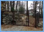 Hot Dipped Galvanized Chain Link Fence Slats / Panels Heavy Duty Sliding Gates 5