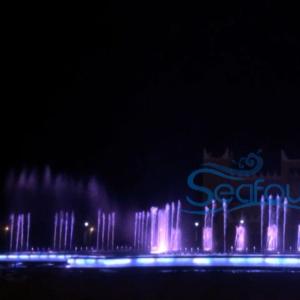 Quality Saudi Arabia Multimedia Fountain Project Musical Dancing Rotary Nozzle Fountain wholesale