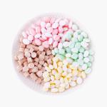 Customized Mints Lemon Flavor Fresh Cooling Sugar Free Vitamin C Healthy Mint