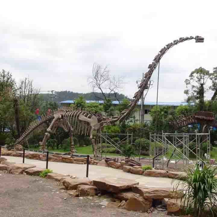 Exhibition Jurassic Park Dinosaur Skeleton , Dinosaur Bone Replicas