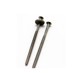Torx Flat Head A4 Inox SUS 316 Stainless Steel Roof Screws Construction Fencing
