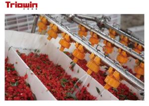 Quality High Speed Wolfberry Beverage Processing Equipment , Fruit Juice Production Line wholesale