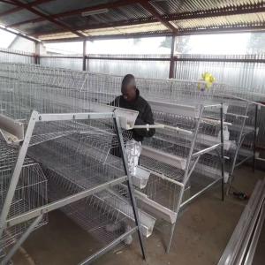 Quality 10000 Layers New Design Layer Hen Cage Battery Cage Eggs wholesale