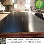 Black film faced plywood /formwork/shuttering boards