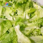 180KG 304 stainless steel eddy current vegetable washing machine Eddy current