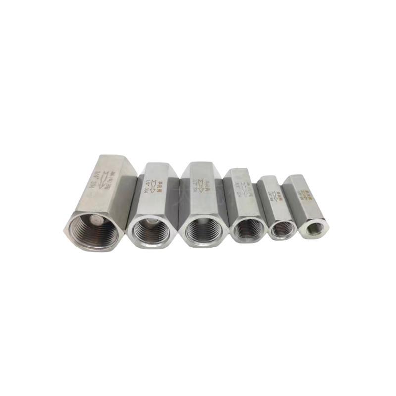 Pneumatic Stainless Steel SS316 10mm Check Valve Non Return Valve