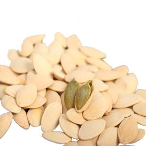Quality Raw Pumpkin Seed Meat COMMON Cultivation Type for Sustainable Snacking wholesale