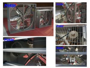 Quality Chicken House Ventilation Fan Drop Hammer Exhaust fan with CE wholesale