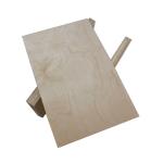 Full Hardwood Core MR 12mm Film Faced Birch Plywood