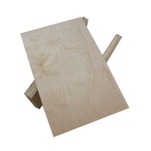 Quality CARB 12mm 18m Birch Hardwood Plywood For Furniture wholesale