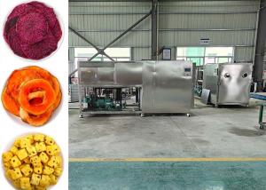 Quality Professional Food Vacuum Freeze Dryer for Optimal Drying Results wholesale