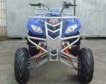 Large Size Automatic ATV 150cc Quad Bike 10" Big Tire Cvt Interior Reverse