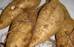 Herb Medicine Radix Puerariae Extract --Pueraria Lobata (Wild.) ohwi