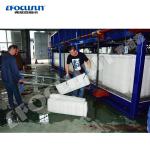 Blue Painting 30Tons Block Ice Machine for Ice Plant After Service Video