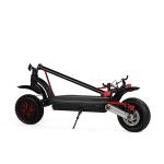 10 inch 700w dual motor 2 wheels folding electric scooter with double battery