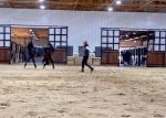 Customized Infill High Density Hard Bamboo Stall Barn Doors