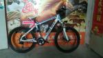 Western Style 36v 250 Watt Electric Powered Mountain Bike