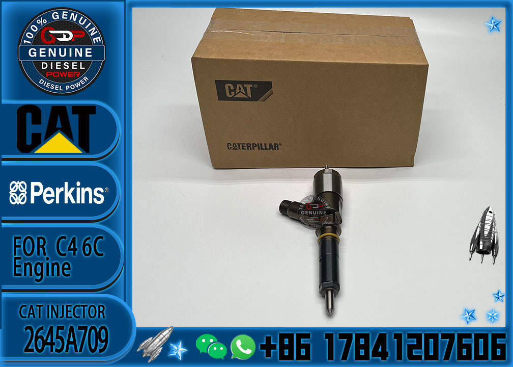 New Diesel Fuel Injectors nozzles 321-0990 2645A743 10R-7668 2645A705 2645A709 injector for Caterpillar C6.6 Perkins 110