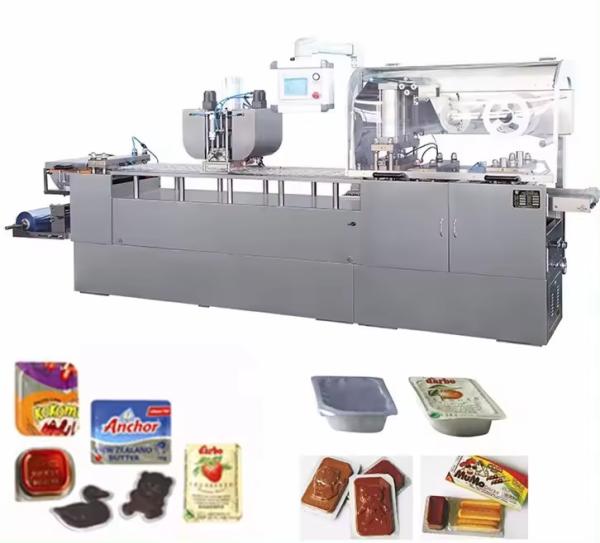 Precision Servo Motor Stainless Steel Electric Pharmaceutical Blister Packing