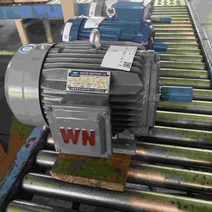 Quality Alumninum Material IE4 380V AC High Efficient Electric Motors wholesale