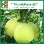 New Crop Honey Pomelo