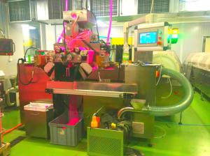 Quality Vitamin Fish Oil Softgel Encapsulation Machine Stainless Steel wholesale