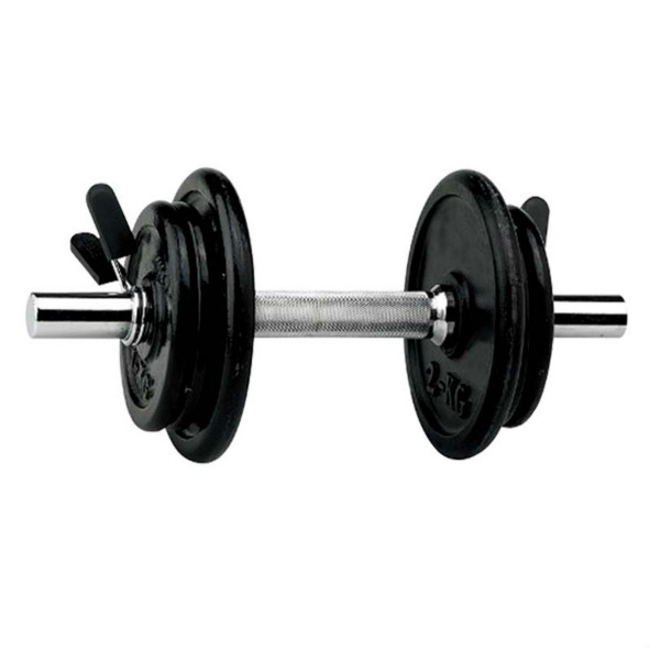 Stoving Round Rubber Dumbbell Set Grey 10kgs Cast Iron Dumbbell Varnish Coated